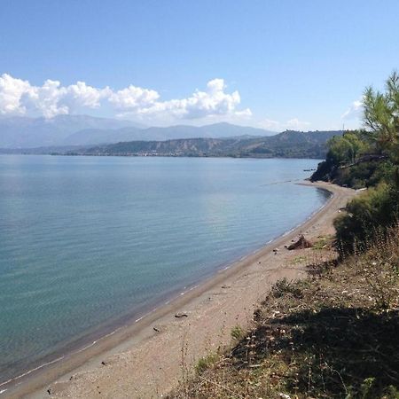 Camping Golden Sunset Alissos Bagian luar foto